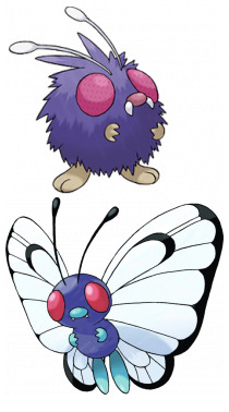 포켓몬스터 비밀..(버터플라이 도나리) | 인스티즈