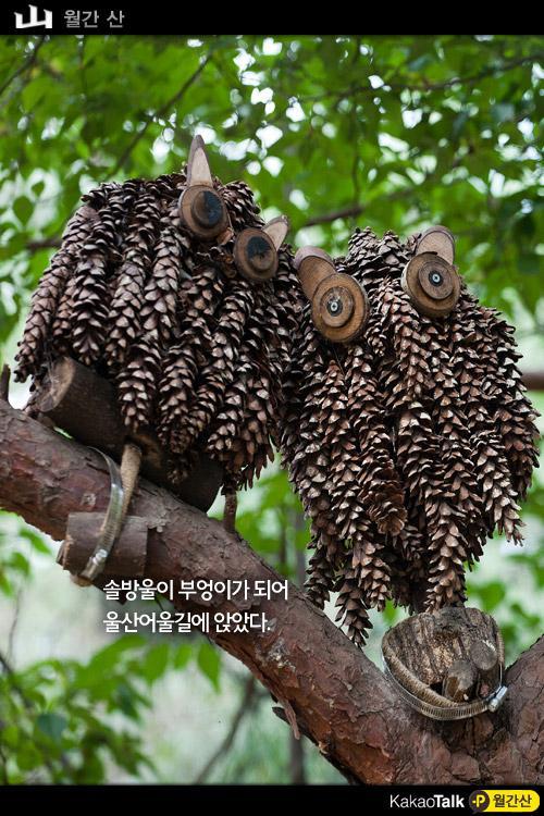 동미 이미지