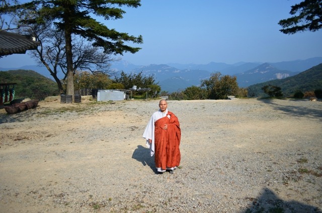 선해어 이미지