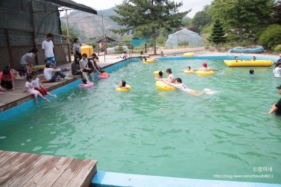 수밍이네 이미지