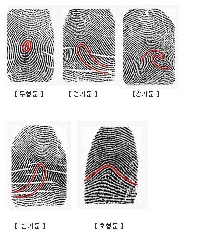 지문으로 보는 성향 검사.jpg | 인스티즈