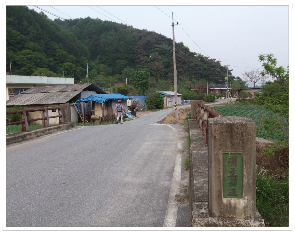 지교대호 이미지