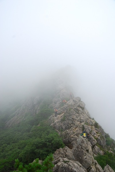 강삼 이미지