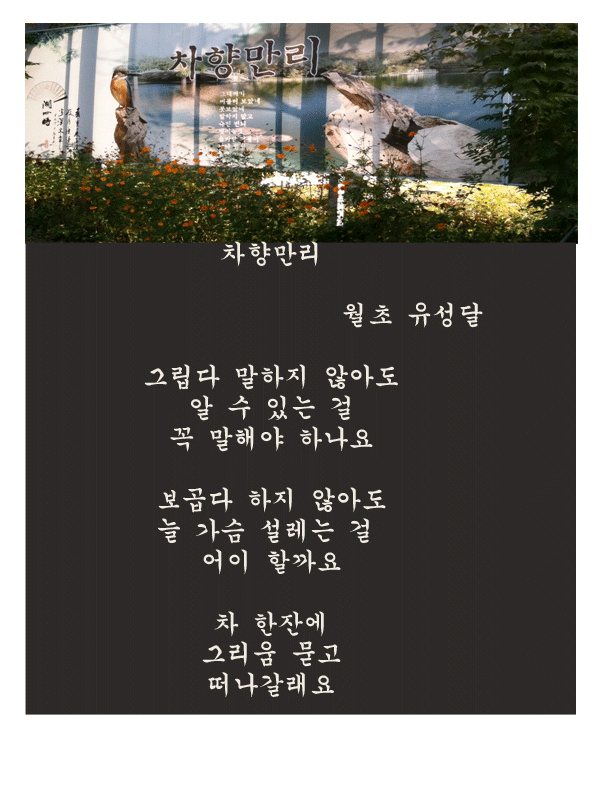 차향만리 이미지
