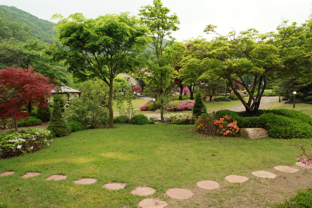 잔디밭 이미지
