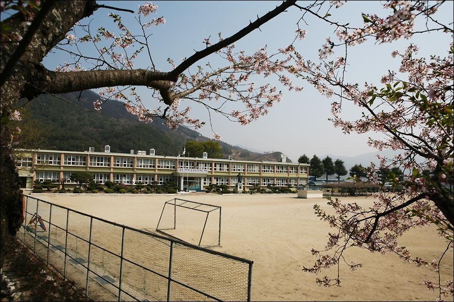 병곡초등학교 이미지