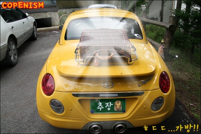 리바똥 이미지