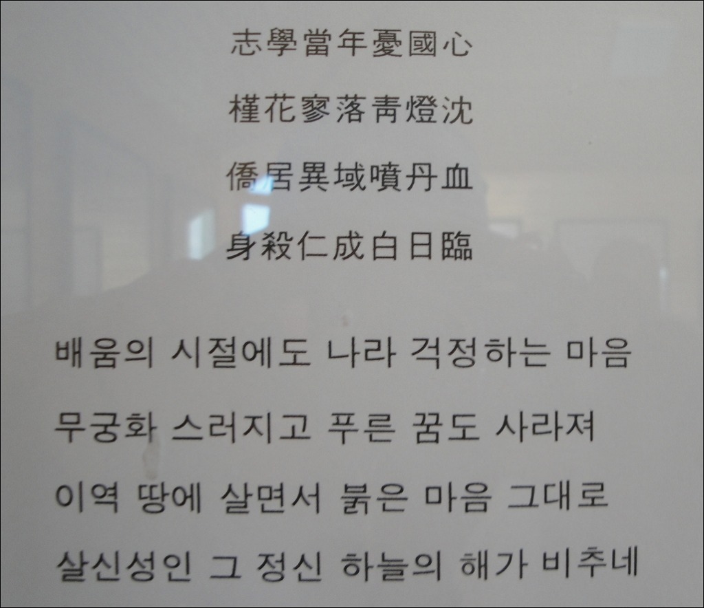 초원트래킹 이미지