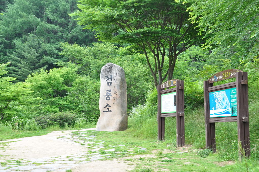 새삶 이미지