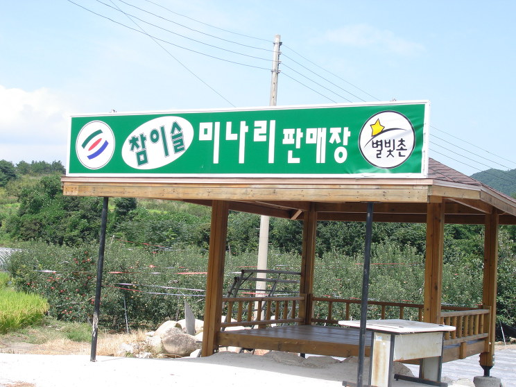 치산미나리 이미지