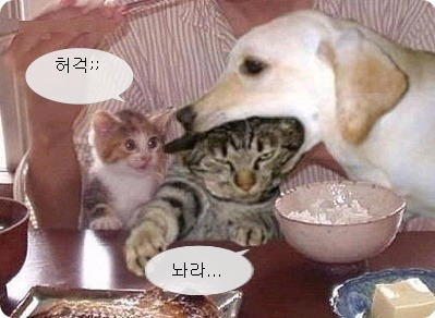 하당 이미지