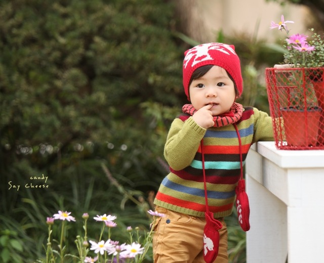 세이치즈 이미지