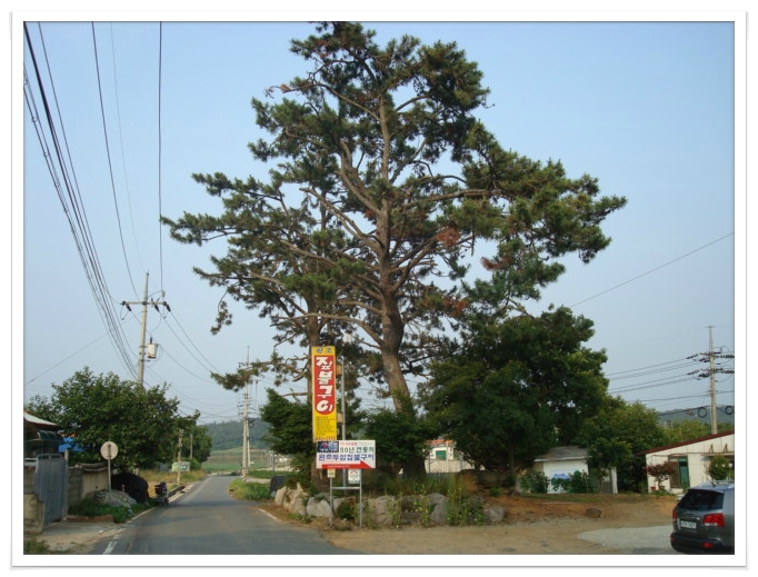 무안IC 이미지