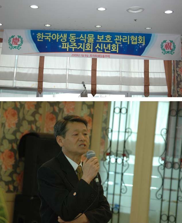 토마토부폐 이미지