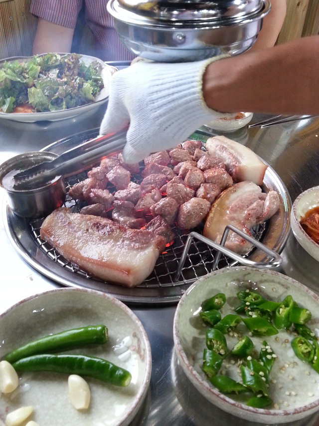 돈돼지 이미지