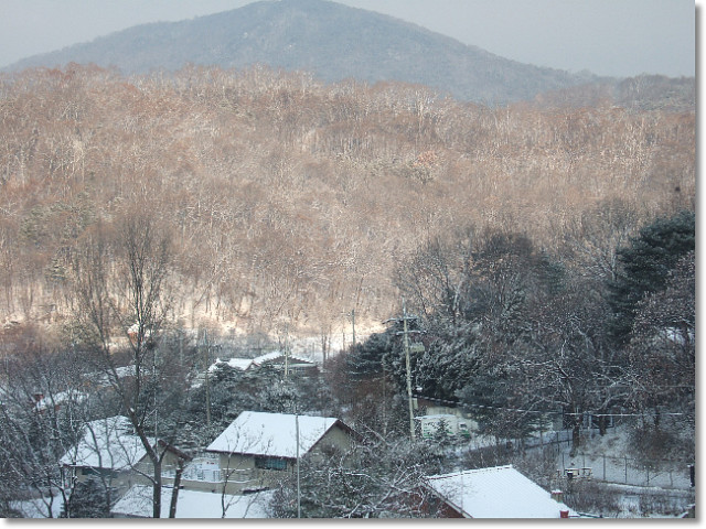 구룡산 정상 이미지
