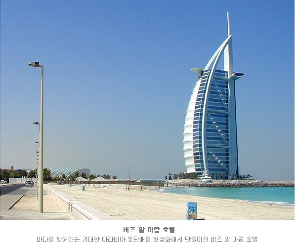 상상진화 이미지