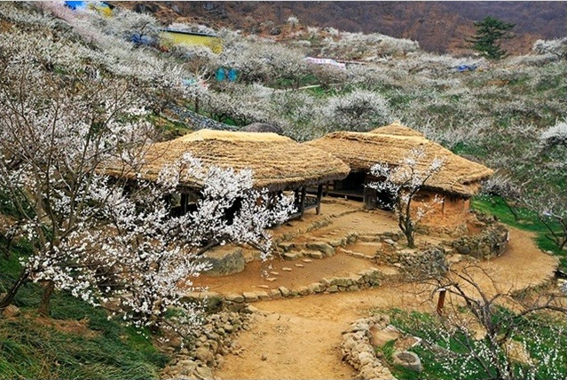 고향초가집 이미지