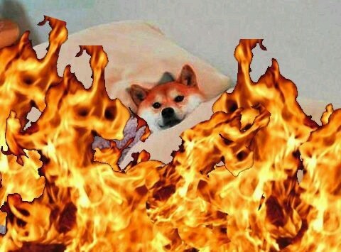 누나야 이미지