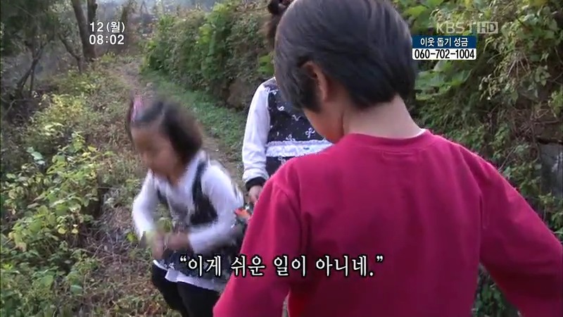 [인간극장] 우리 엄마는 할머니 1부 (감자 주의보 발령!!!) | 인스티즈