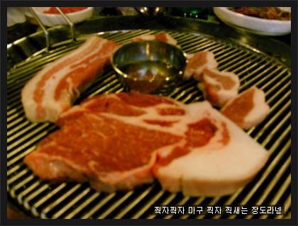 지금,돼지 이미지