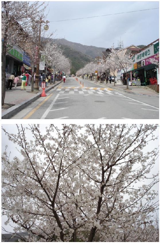 금산사주유소 이미지