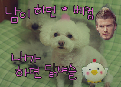 나는미용사다 이미지