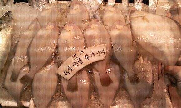 선영상회 이미지