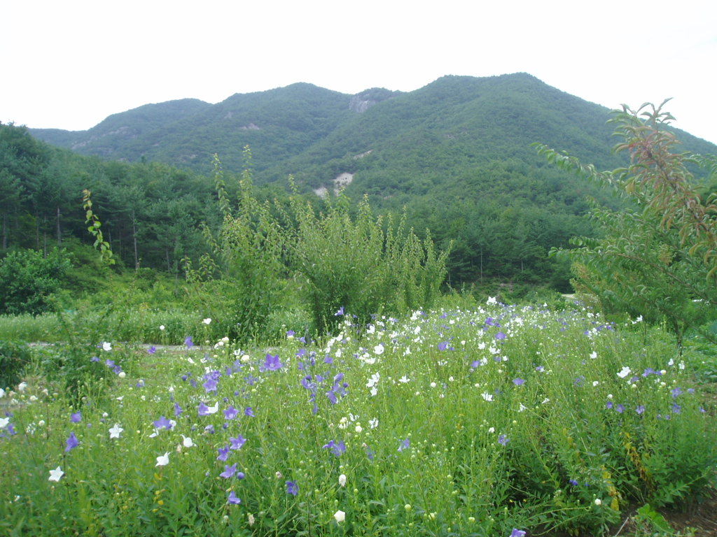 두메산골 이미지