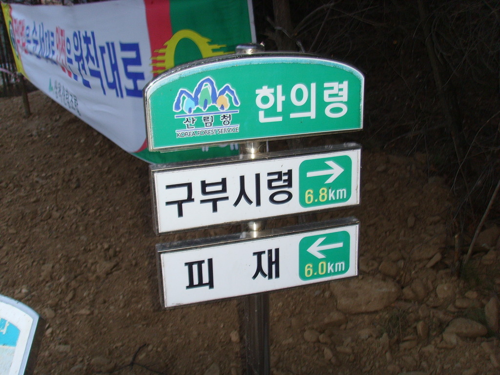 피제 이미지