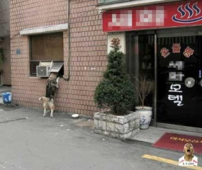 일주일 이미지