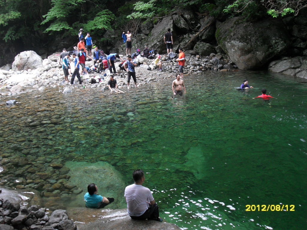 지리산흑도야지 이미지