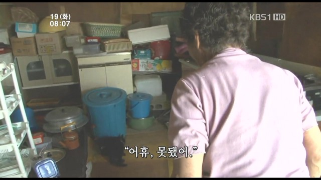 고양이 구박하는 훈할머니.JPG | 인스티즈