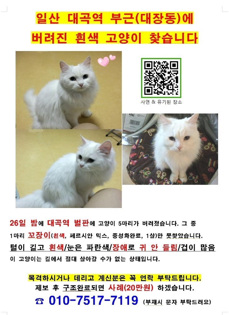 꼬장 이미지