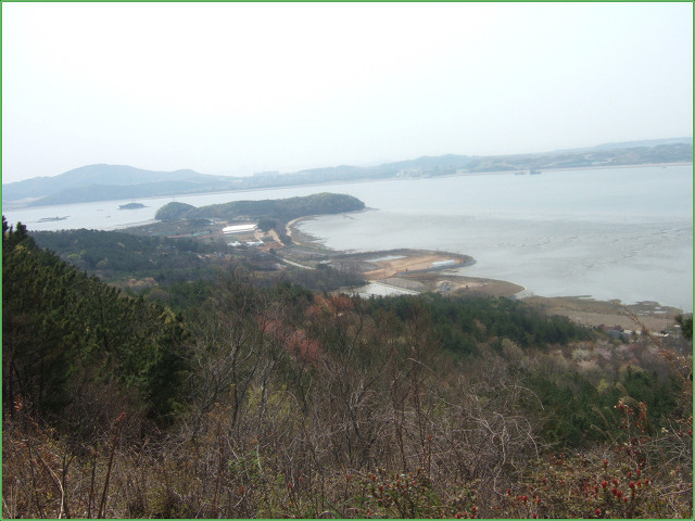 모도 이미지