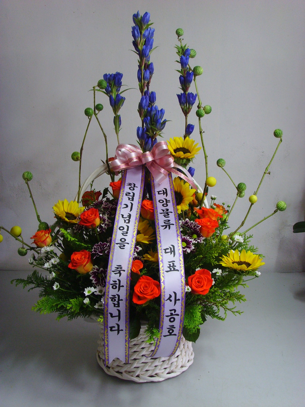 대양물류 이미지