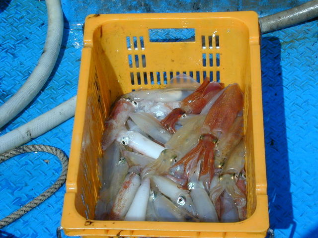오늘안주 이미지