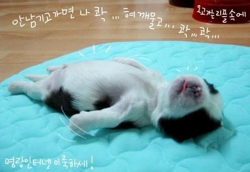 복 이미지