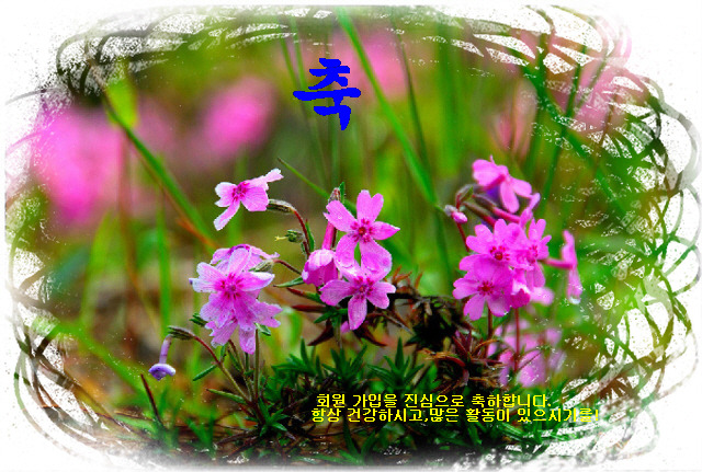 에스제이모바일 이미지