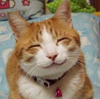 보송보송 이미지