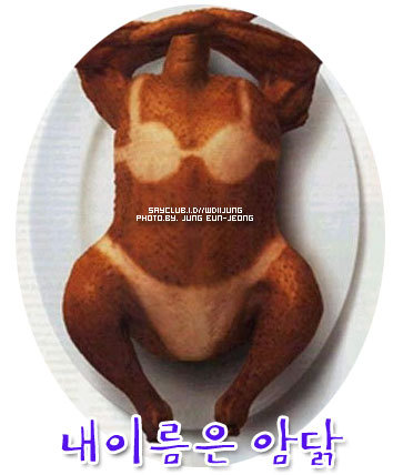 여우와늑대 이미지