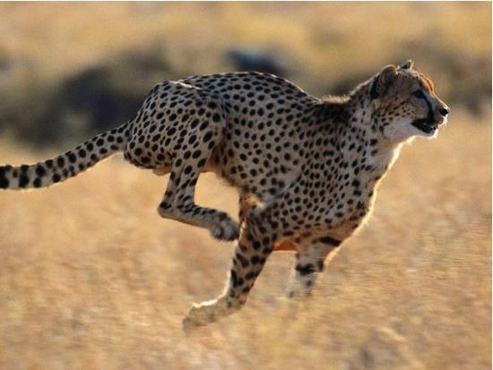 세기의 계주대결 밸런스 甲 승자는? | 인스티즈