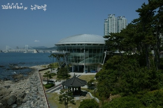 마루하우스 이미지