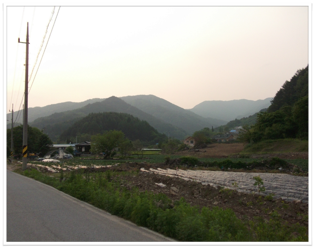 지교대호 이미지
