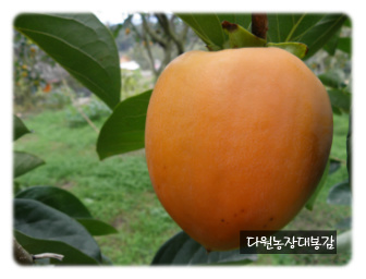 대봉환경 이미지
