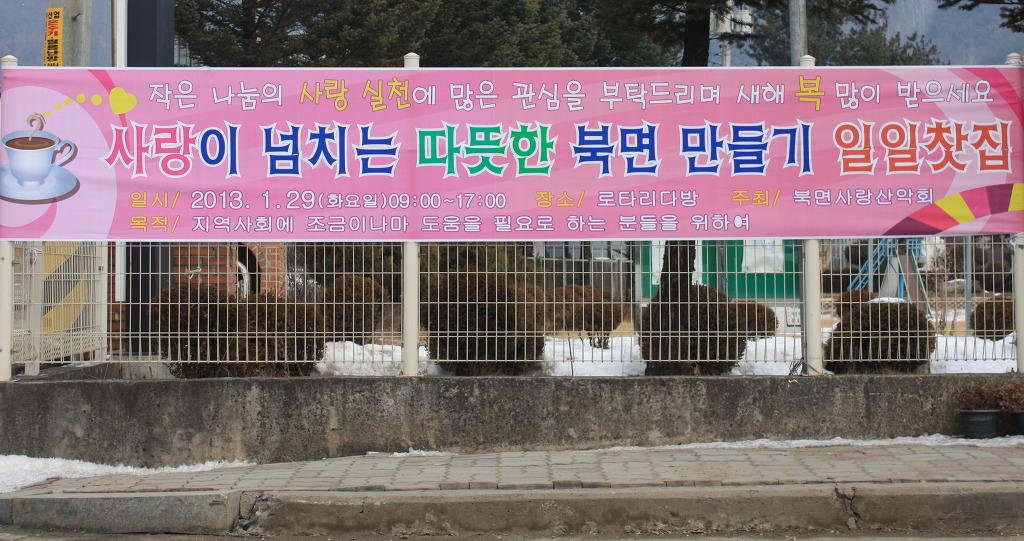 로타리다방 이미지