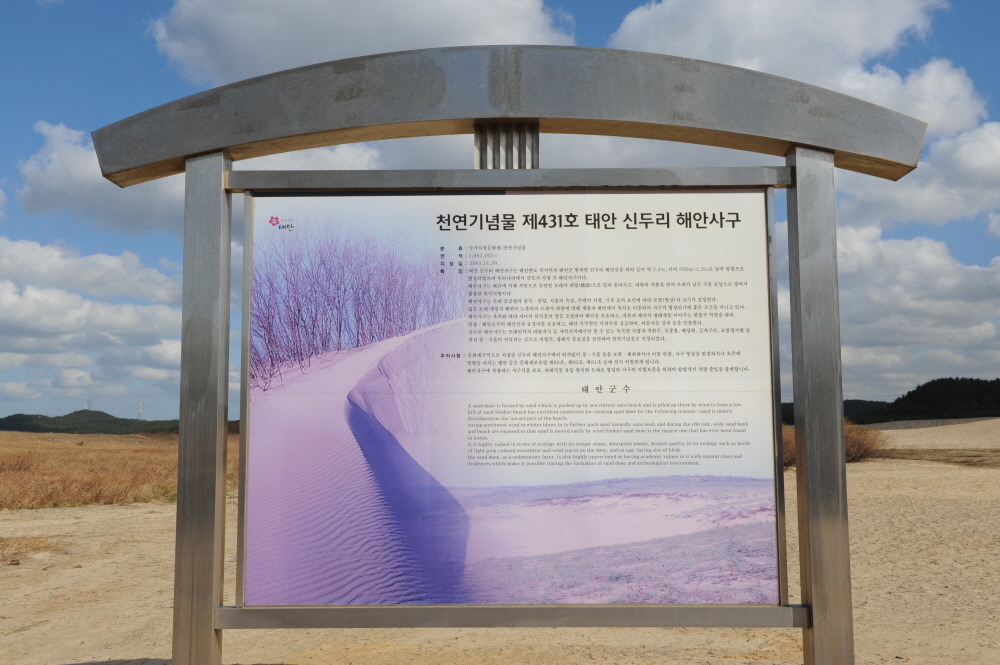 솔향기환경 이미지