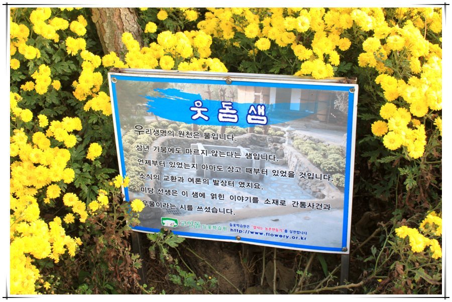 꽃미당 이미지