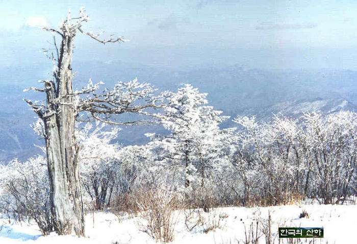 (주)태백산 이미지