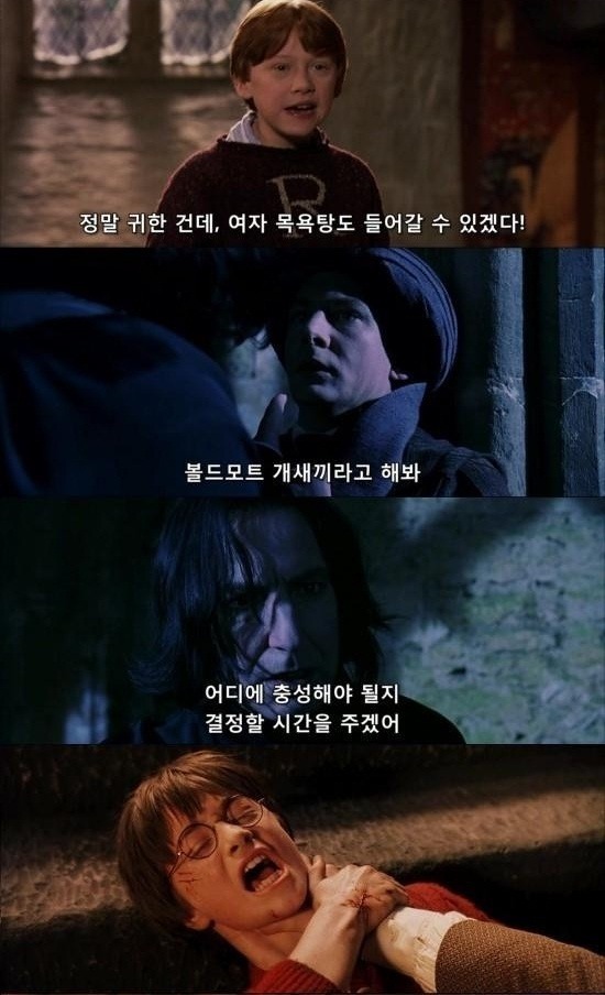 해리포터 스포甲 자막 | 인스티즈